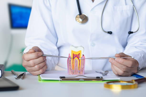 Best Emergency Tooth Extraction in Mountainhome, PA
